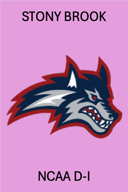 STONY BROOK DI FOOTBALL